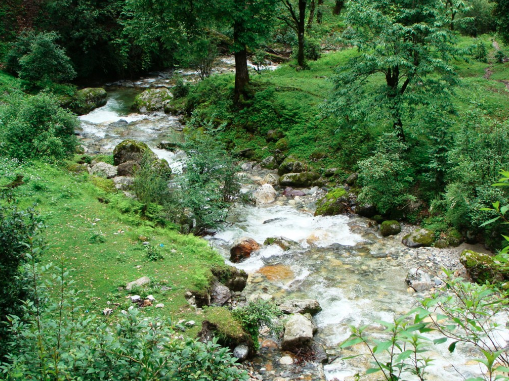 stream india pic